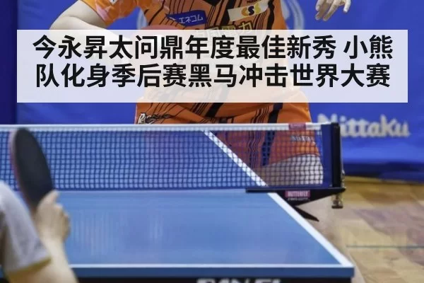 今永昇太问鼎年度最佳新秀 小熊队化身季后赛黑马冲击世界大赛